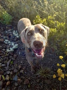 331530097_1151360125578786_4483770818004706738_n