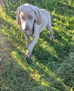 386499673_10160663347663673_8856588913985014967_n