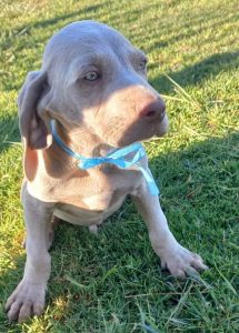 387093605_10160663347743673_5568086183394752505_n